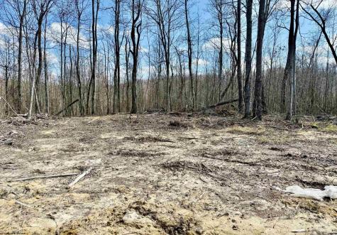 6 Brooklyn Way Moatsville WV 26405