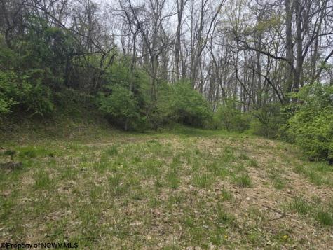2024 Purinton Street Morgantown WV 26505