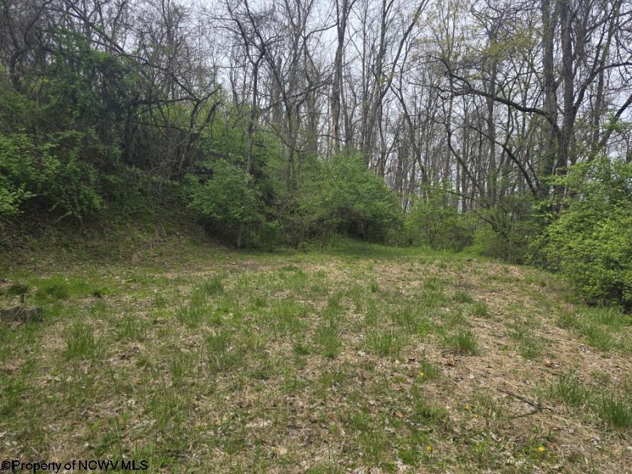 2024 Purinton Street Morgantown WV 26505