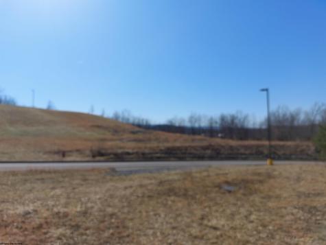 0 Plantation Drive Elkins WV 26241