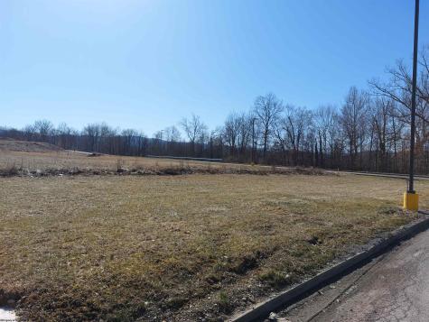 0 Plantation Drive Elkins WV 26241