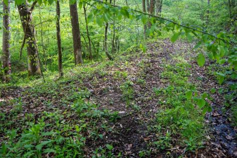 1 Manion Road Folsom WV 26348