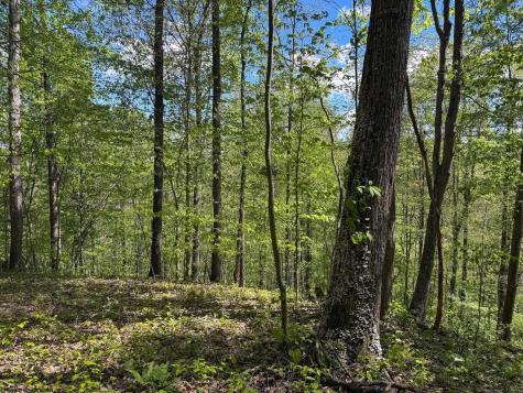 1 Manion Road Folsom WV 26348