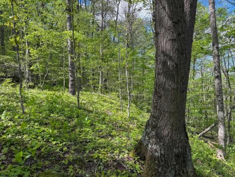 1 Manion Road Folsom WV 26348