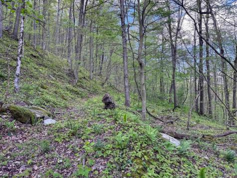 1 Manion Road Folsom WV 26348