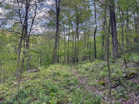 1 Manion Road Folsom WV 26348