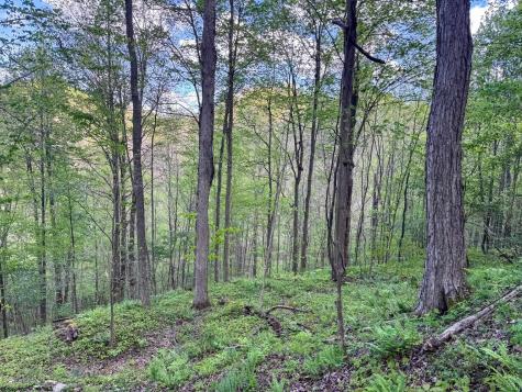 1 Manion Road Folsom WV 26348