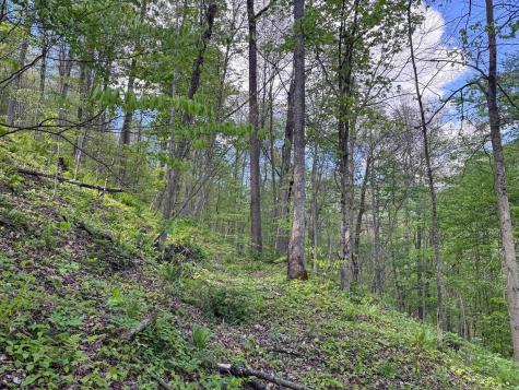 1 Manion Road Folsom WV 26348