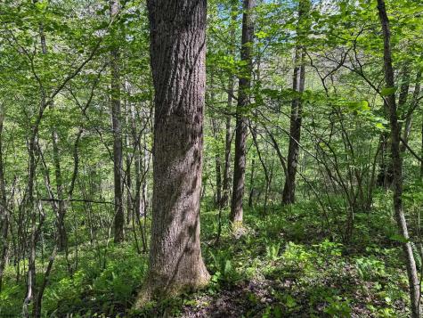 1 Manion Road Folsom WV 26348