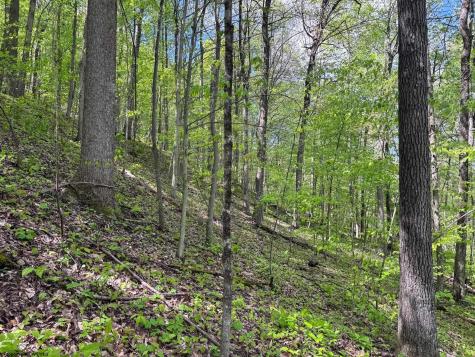 1 Manion Road Folsom WV 26348