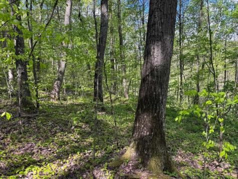 1 Manion Road Folsom WV 26348