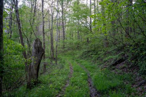 1 Manion Road Folsom WV 26348