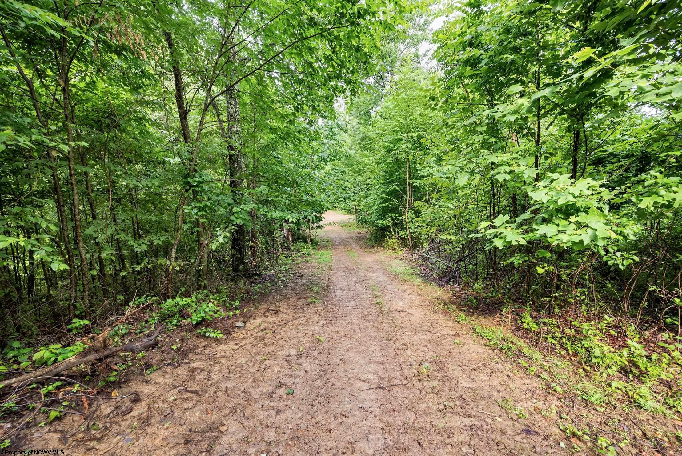 5 Burnt Cabin Road Fairmont WV 26554