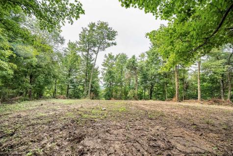 5 Burnt Cabin Road Fairmont WV 26554
