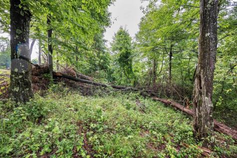 5 Burnt Cabin Road Fairmont WV 26554