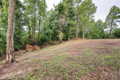 5 Burnt Cabin Road Fairmont WV 26554