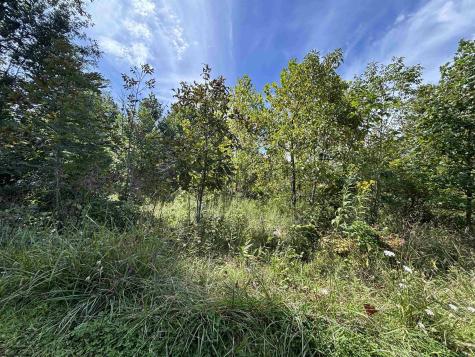 165 Merdian Road Philippi WV 26416