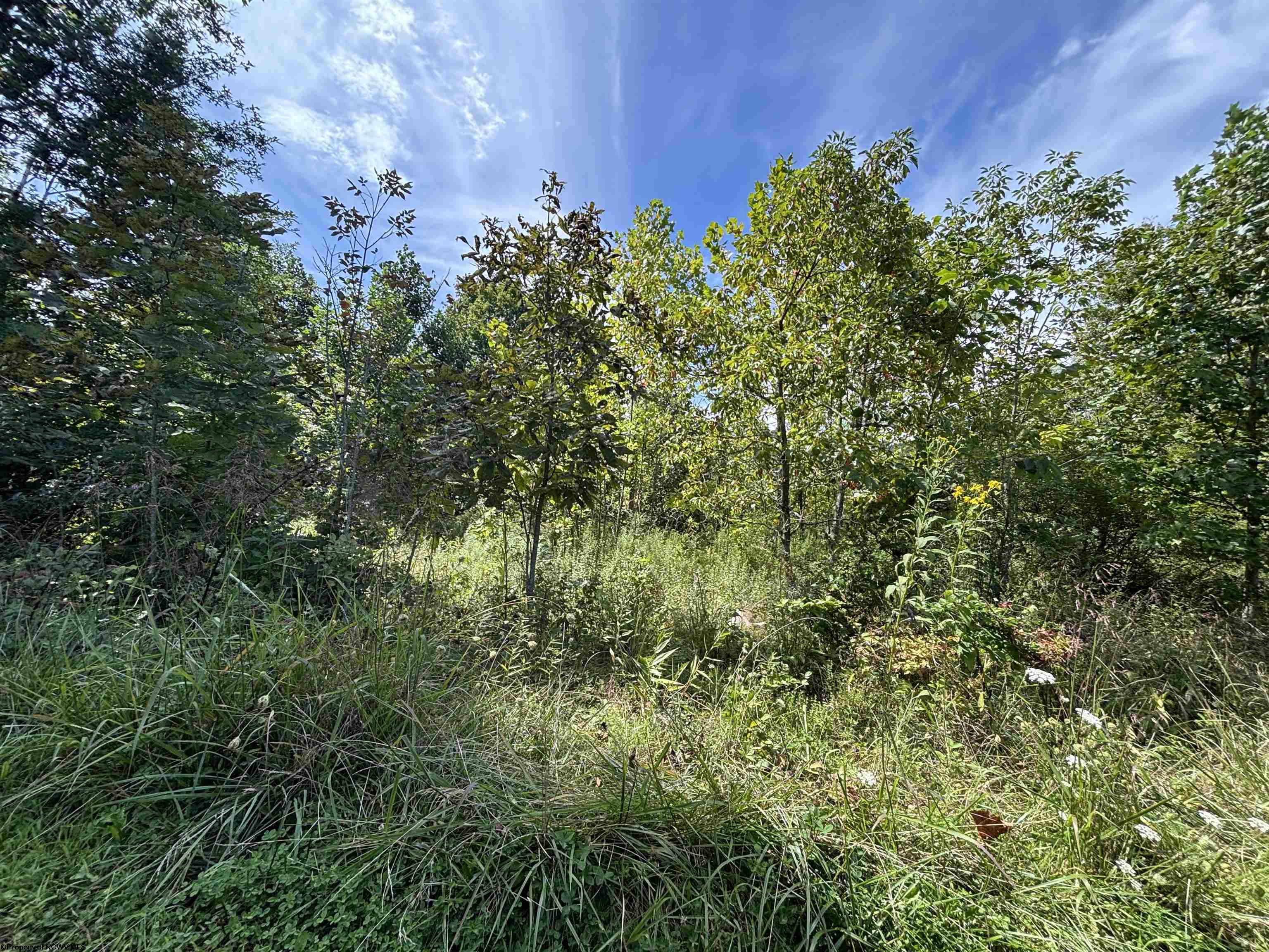 165 Merdian Road Philippi WV 26416