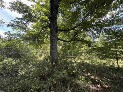 165 Merdian Road Philippi WV 26416