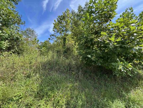 165 Merdian Road Philippi WV 26416