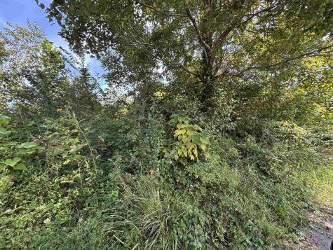 165 Merdian Road Philippi WV 26416