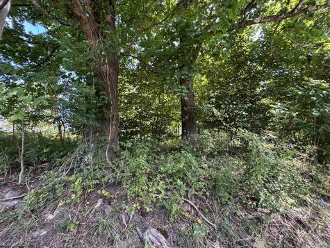 165 Merdian Road Philippi WV 26416