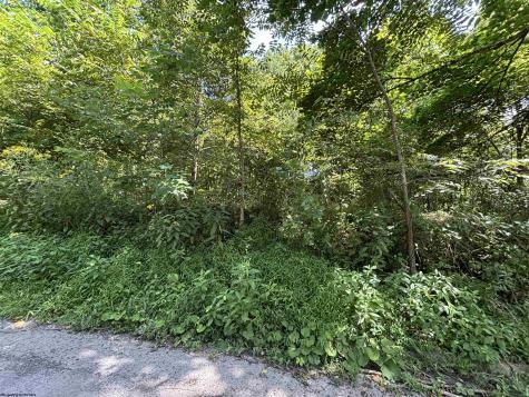 165 Merdian Road Philippi WV 26416