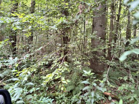0 Clover Run Road Parsons WV 26287