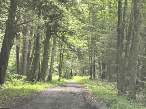 0 Clover Run Road Parsons WV 26287