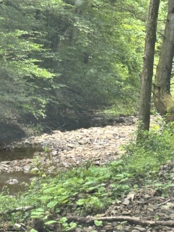 0 Clover Run Road Parsons WV 26287