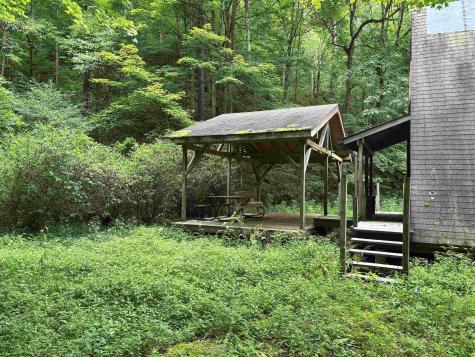 0 Clover Run Road Parsons WV 26287