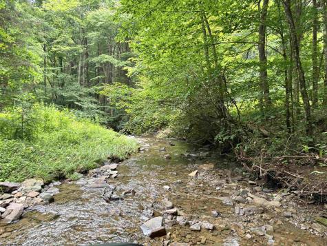 0 Clover Run Road Parsons WV 26287