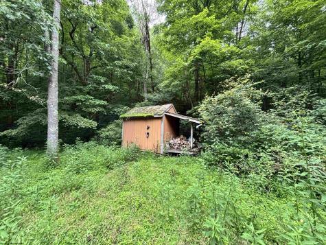 0 Clover Run Road Parsons WV 26287