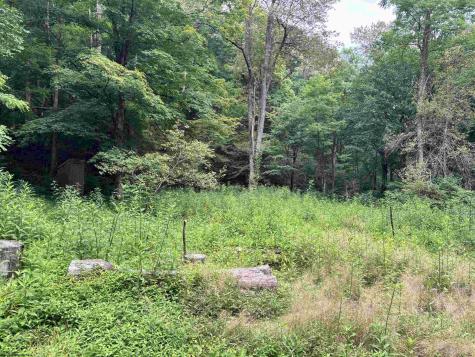 0 Clover Run Road Parsons WV 26287