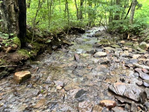 0 Clover Run Road Parsons WV 26287