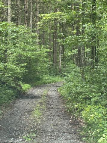 0 Clover Run Road Parsons WV 26287