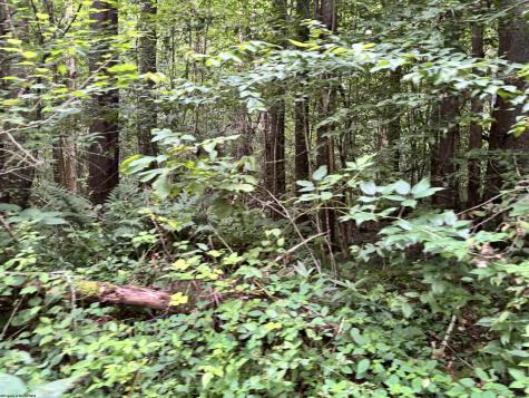 0 Clover Run Road Parsons WV 26287
