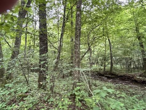 0 Clover Run Road Parsons WV 26287