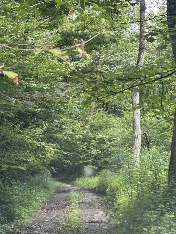 0 Clover Run Road Parsons WV 26287
