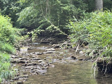 0 Clover Run Road Parsons WV 26287