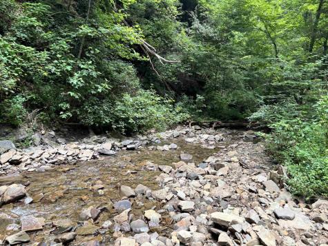 0 Clover Run Road Parsons WV 26287