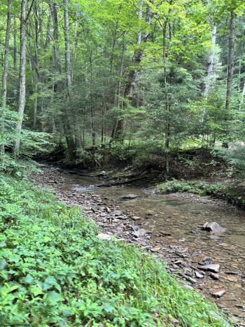 0 Clover Run Road Parsons WV 26287
