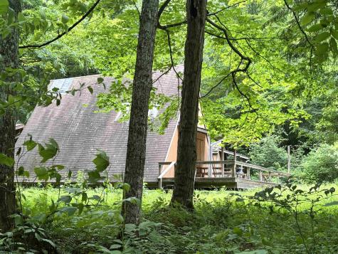 0 Clover Run Road Parsons WV 26287