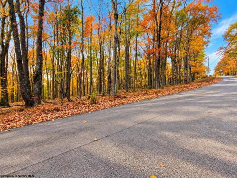 23 E Alpine Drive Terra Alta WV 26764
