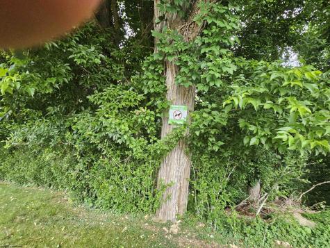 12 Overhill Road Fairmont WV 26554