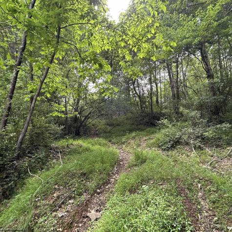 1328 Moyers Road Bruceton Mills WV 26525