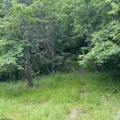 1328 Moyers Road Bruceton Mills WV 26525