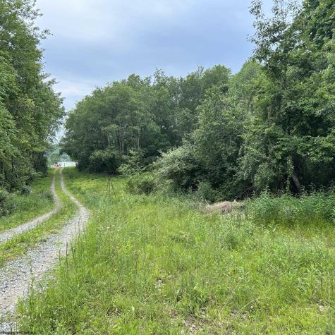 1328 Moyers Road Bruceton Mills WV 26525