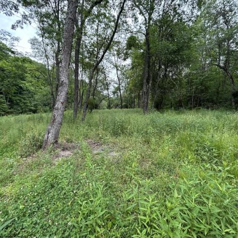 1328 Moyers Road Bruceton Mills WV 26525