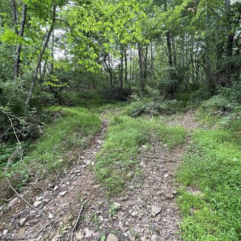 1328 Moyers Road Bruceton Mills WV 26525